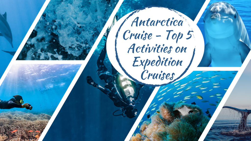 Antarctica Cruise - Top 5 Activities on Expedition Cruises