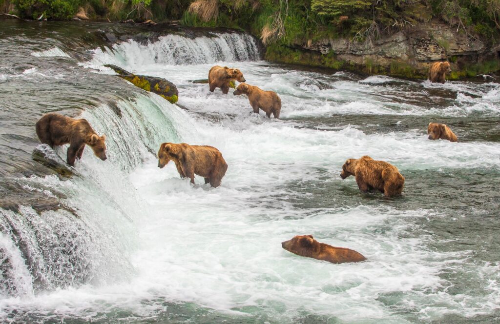 Katmai National Park & Preserve