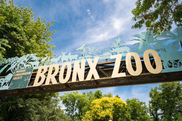 New York Bronx Zoo