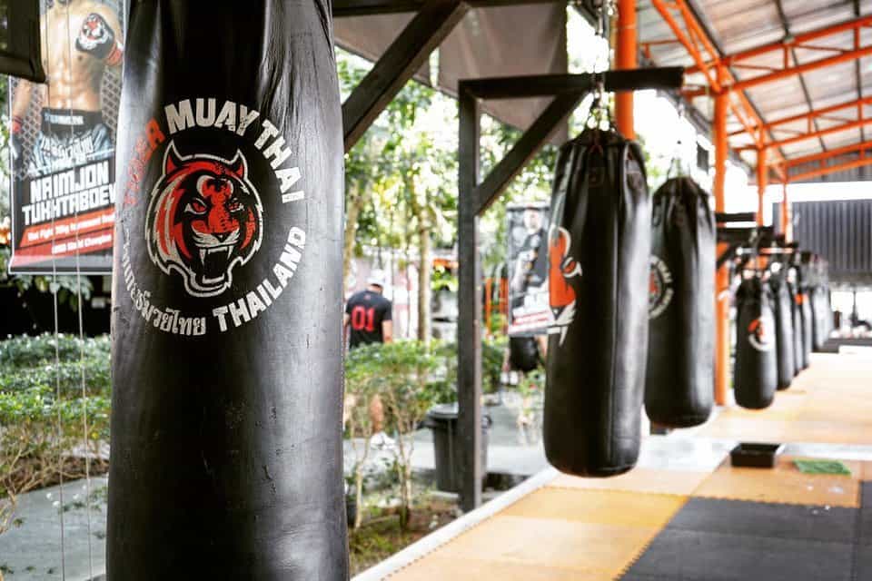 Thai Muay Thai Training in Phuket