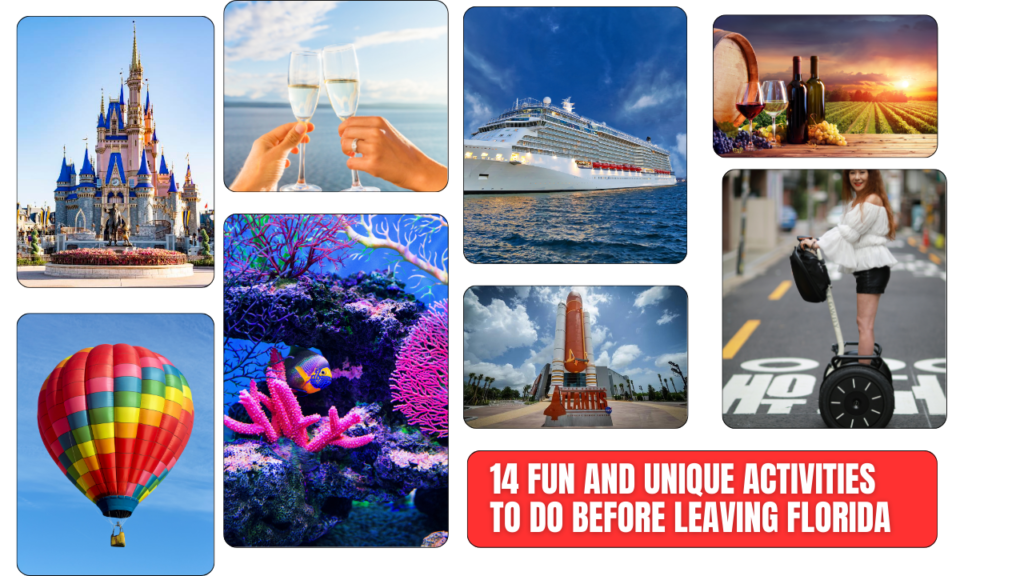 14 Fun and Unique Activities to Do Before Leaving Florida